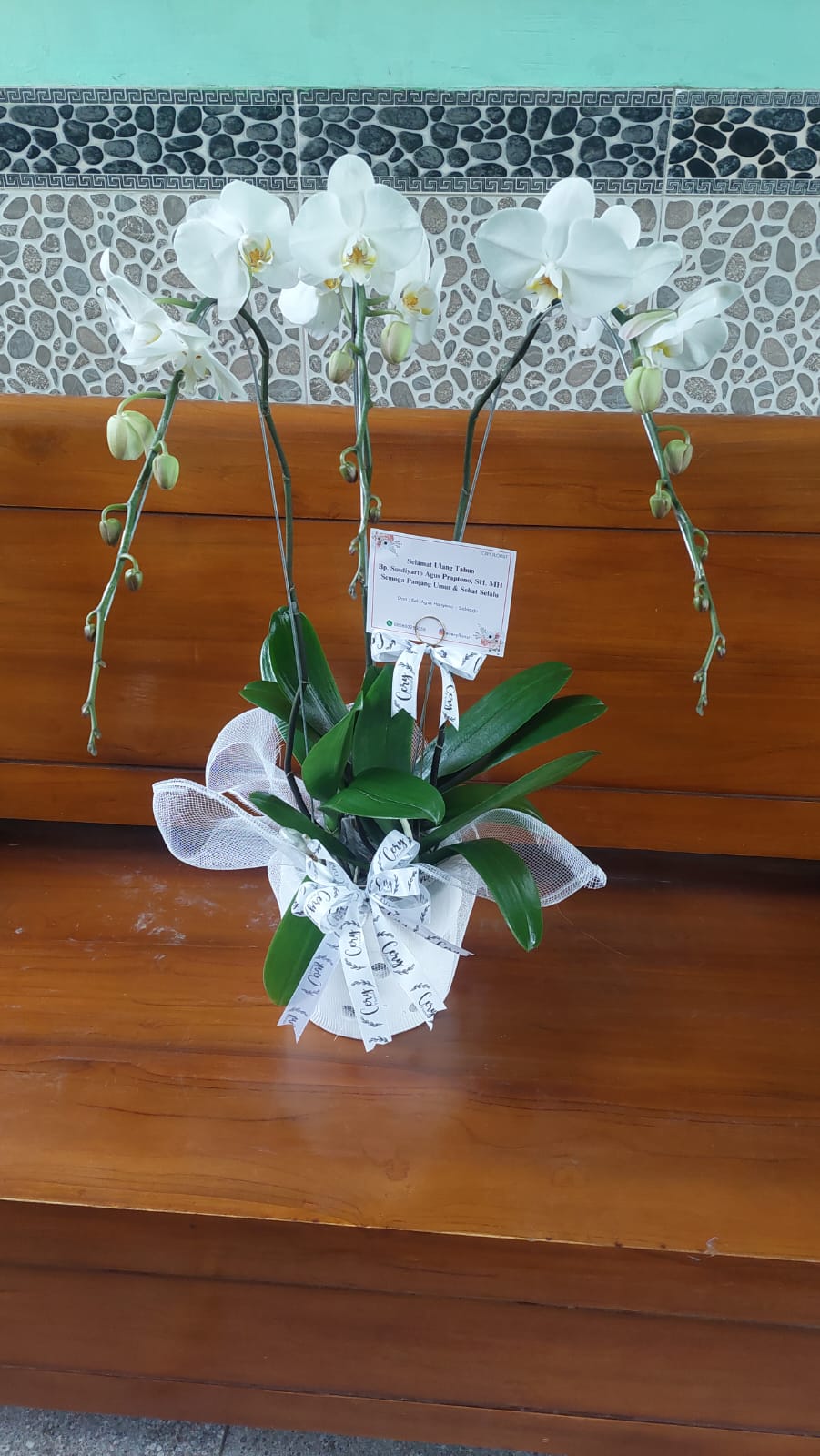 Bunga Anggrek 3 Pohon